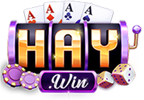 5haywin.com